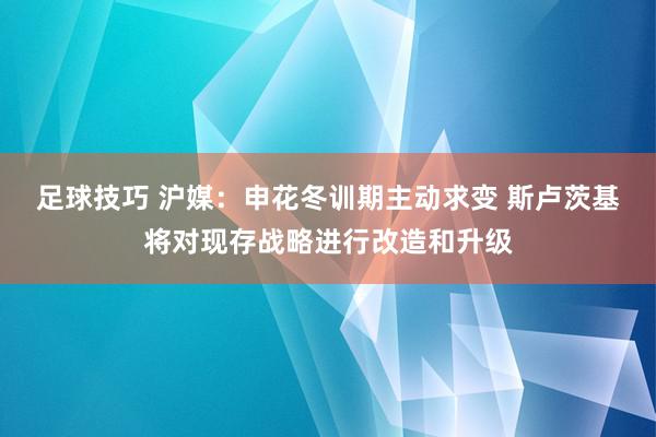 足球技巧 沪媒：申花冬训期主动求变 斯卢茨基将对现存战略进行改造和升级