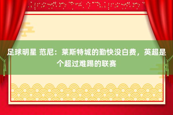 足球明星 范尼：莱斯特城的勤快没白费，英超是个超过难踢的联赛